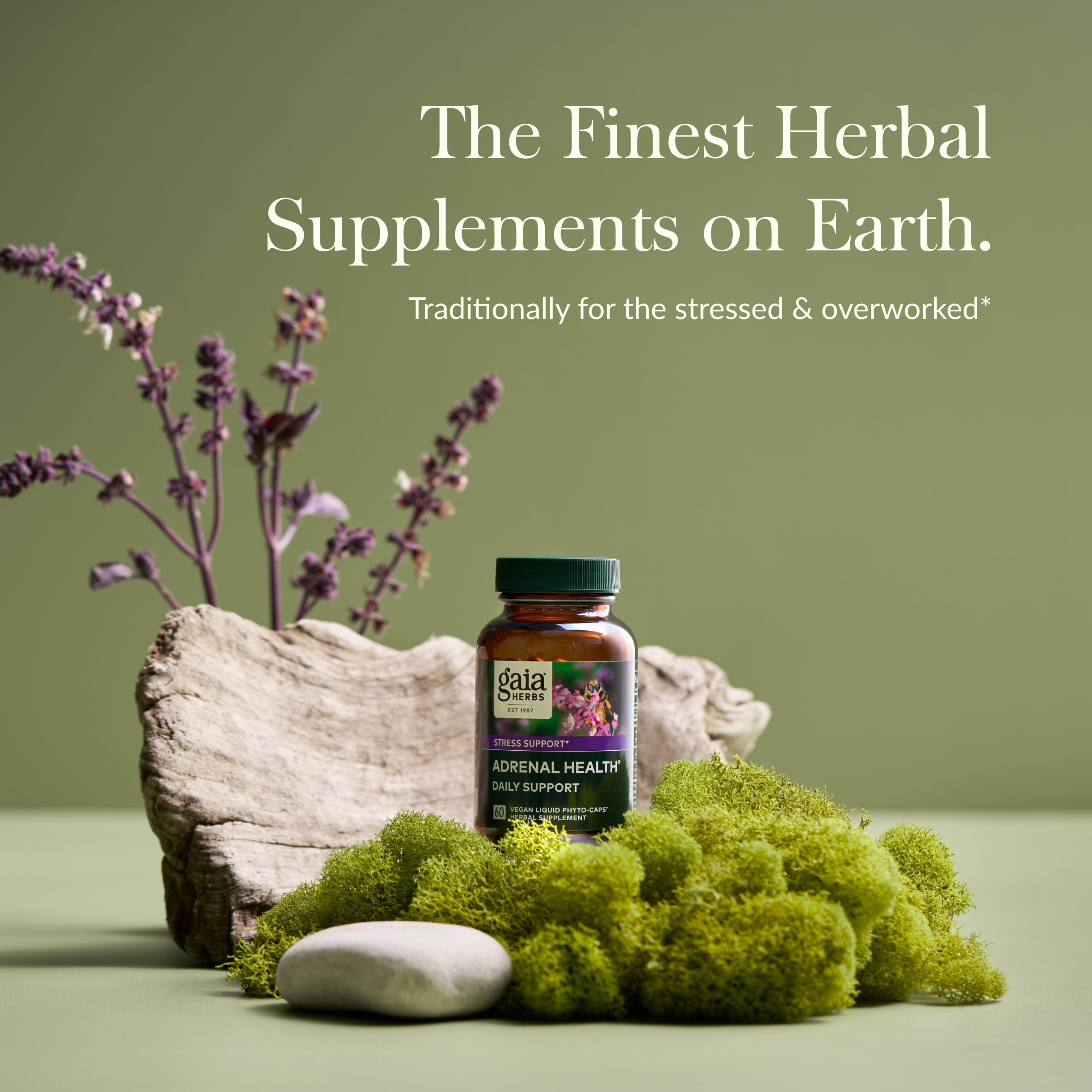 Gaia Herbs Adrenal Health Daily Support Supplement with Ashwagandha, Holy Basil & Schisandra - 60 Liquid Phyto-Capsules for Energy & Stress Relief - Natural Herbal Support for Busy Professionals & Students
