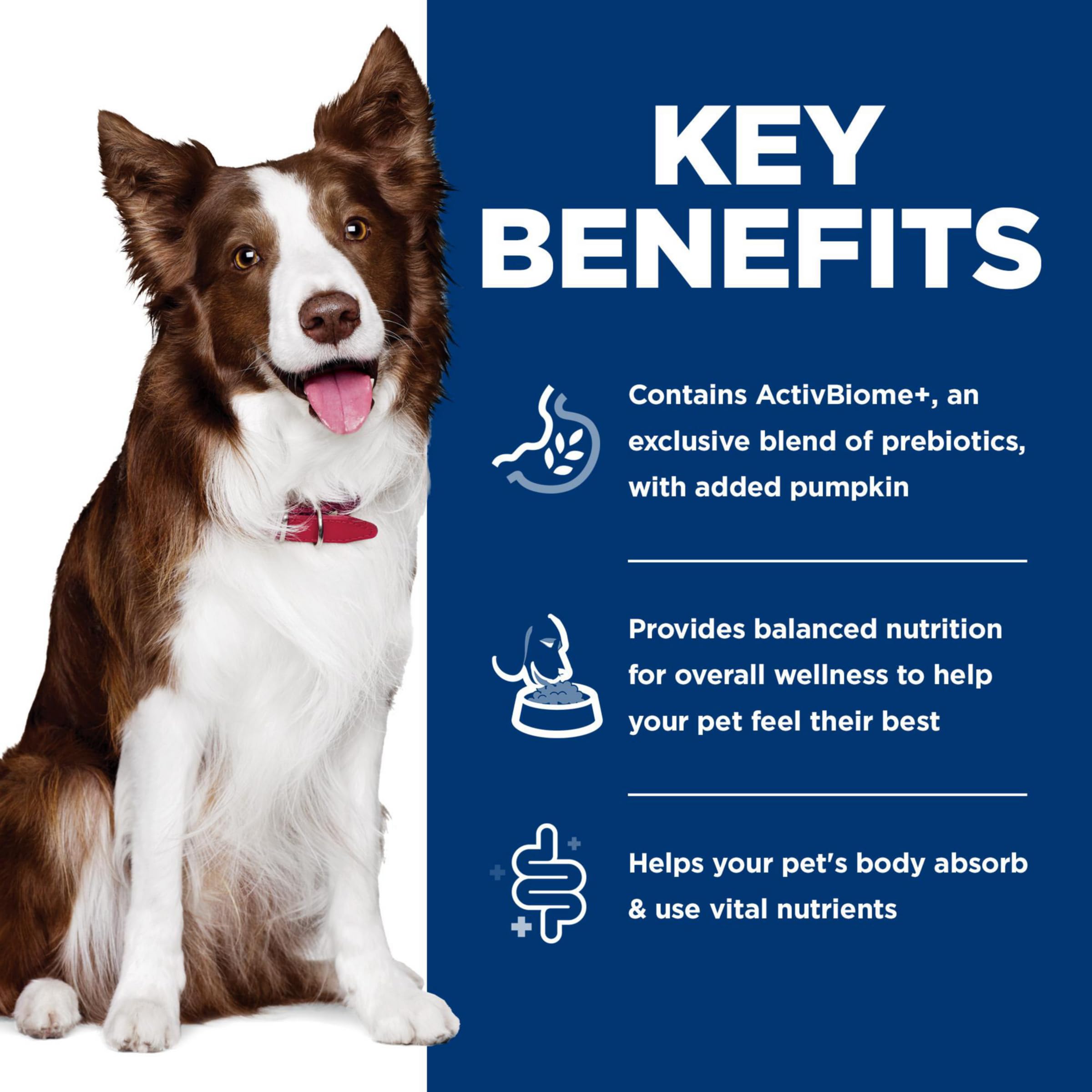Hill's Science Diet Perfect Digestion Wet Dog Food - Chicken, Vegetable & Rice Stew for Adult Dogs (1-6 Years) - Digestive Support Formula - 12.5 oz Can (Pack of 12) - Ideal for Sensitive Stomachs & Digestive Health Maintenance