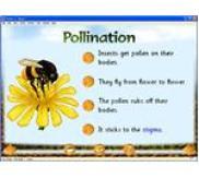 Best Site License for Plant Identification & Writing - Perfect for Botanists, Educators & Nature Enthusiasts | Ideal for Research, Classroom Use & Field Studies