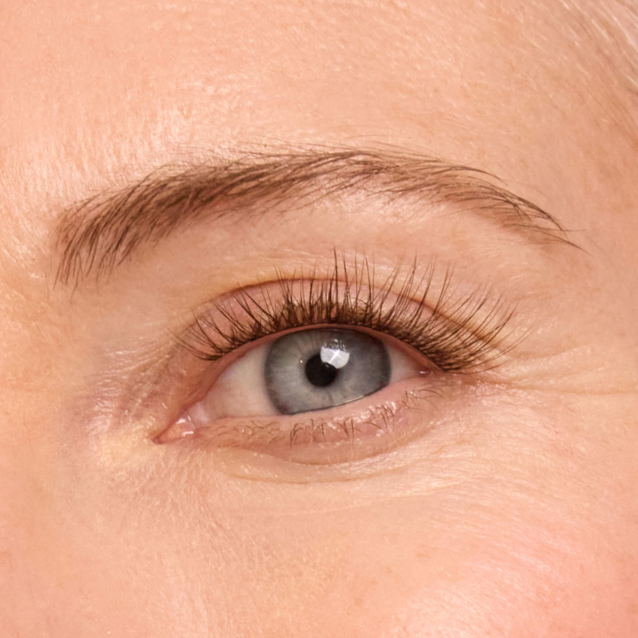 Plus+ Gossamer® Lash - Natural Looking False Eyelashes for Dramatic Volume & Length | Perfect for Weddings, Parties & Everyday Glam