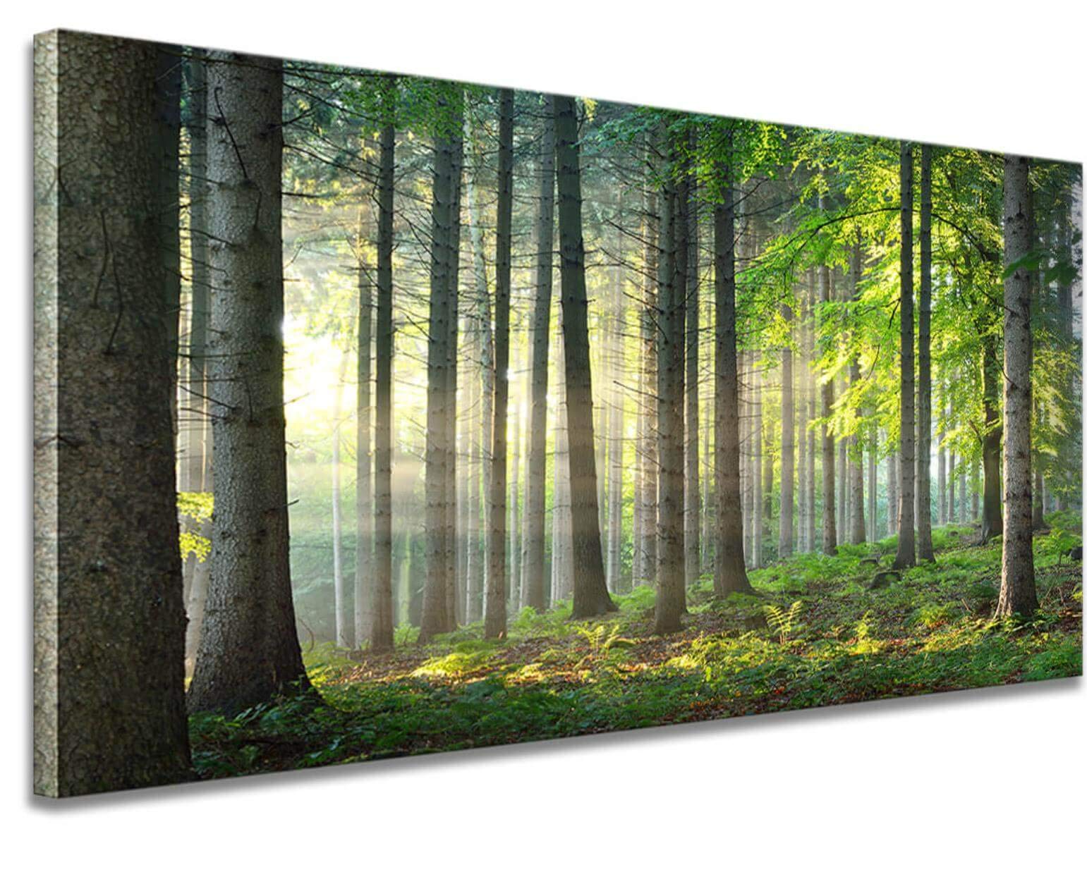 24x48 Inch Forest Landscape Canvas Wall Art - Nature Tree Wall Decor for Living Room, Bedroom & Office - Large Sunny Morning Magic Forest Poster - Perfect for Home Decoration & Interior Design