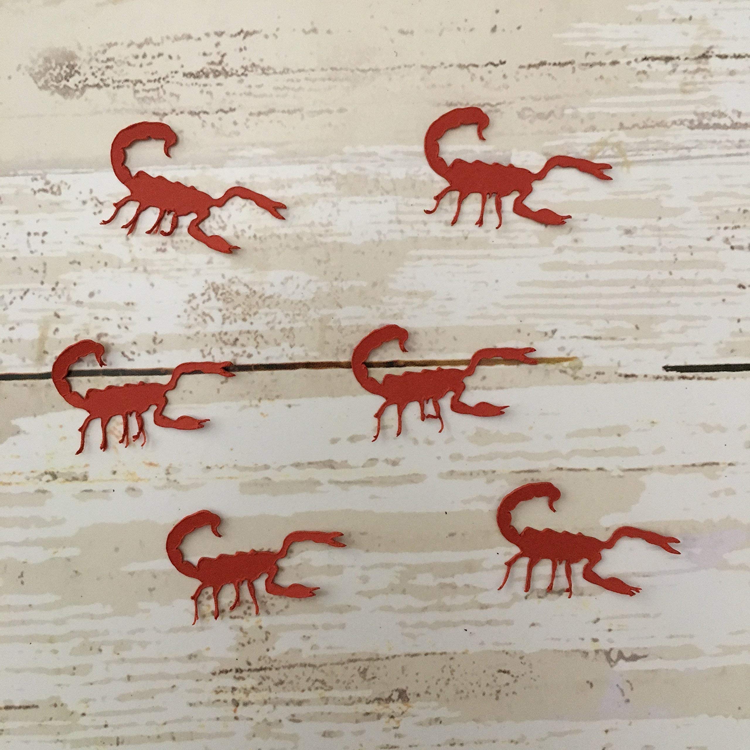 Scorpion Confetti Cutouts - Desert Themed Bug Decorations for Southwest Party Supplies | Table Scatter & Insect Cutouts for Halloween, Themed Parties & DIY Crafts
