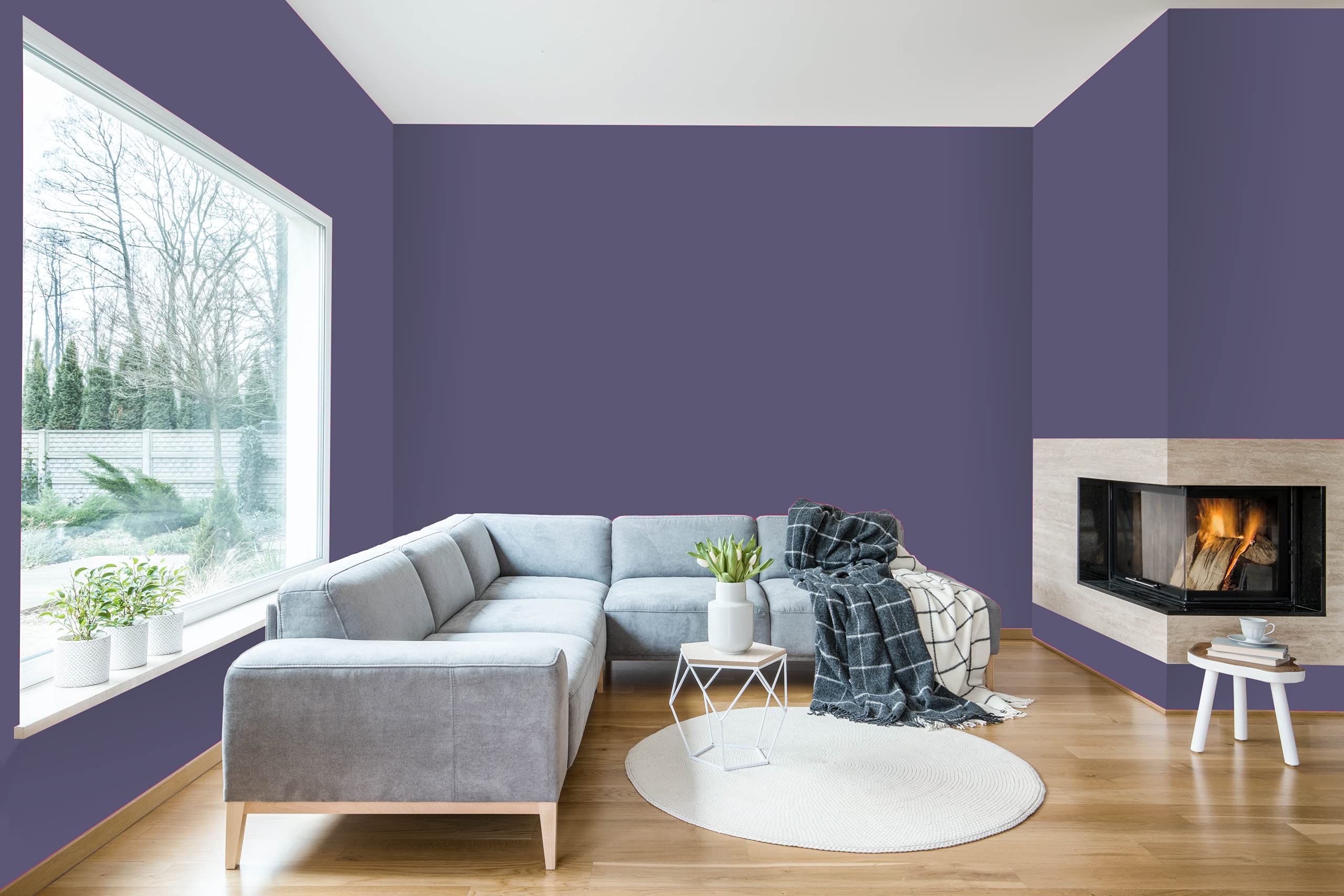 Diamond Brite Paint Forma Satin Paint & Primer in One - 1 Gallon Latex Interior Paint (Grapes of Wrath Color) - Perfect for Living Rooms, Bedrooms & Home Renovation Projects