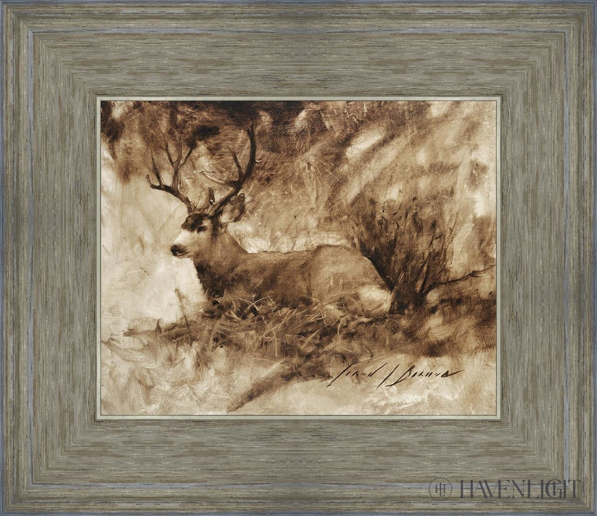 Bedded Buck By Jared Barnes - Premium Hunting & Outdoor Gear for Camping, Hiking & Adventure Enthusiasts