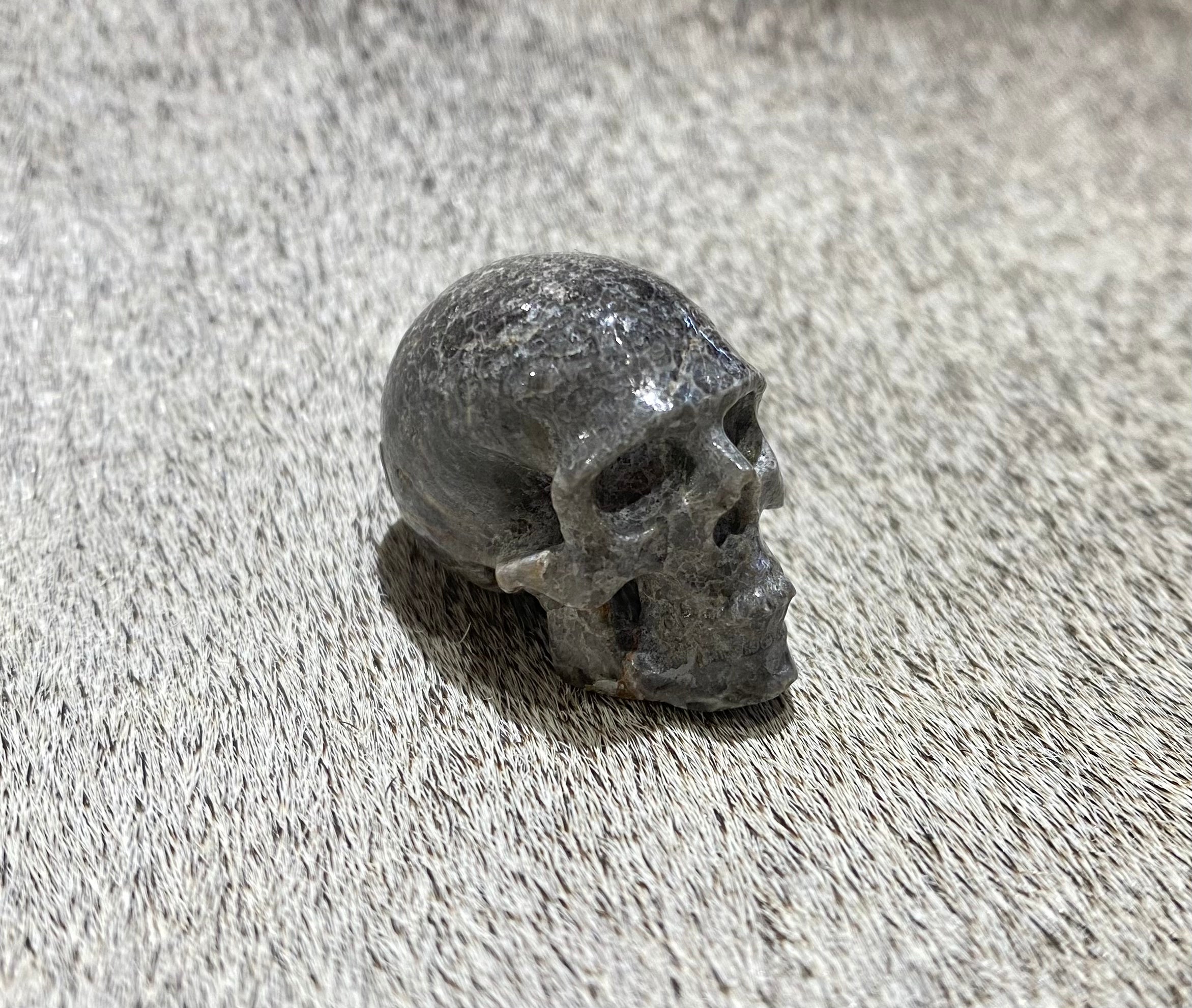 Fossil Coral Skull - Natural Stone Carving for Home Decor, Meditation & Spiritual Healing - Perfect for Gifts, Yoga Spaces & Boho Interior Design