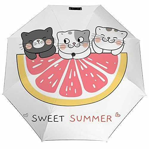 Draw Illustration Character Design Cat