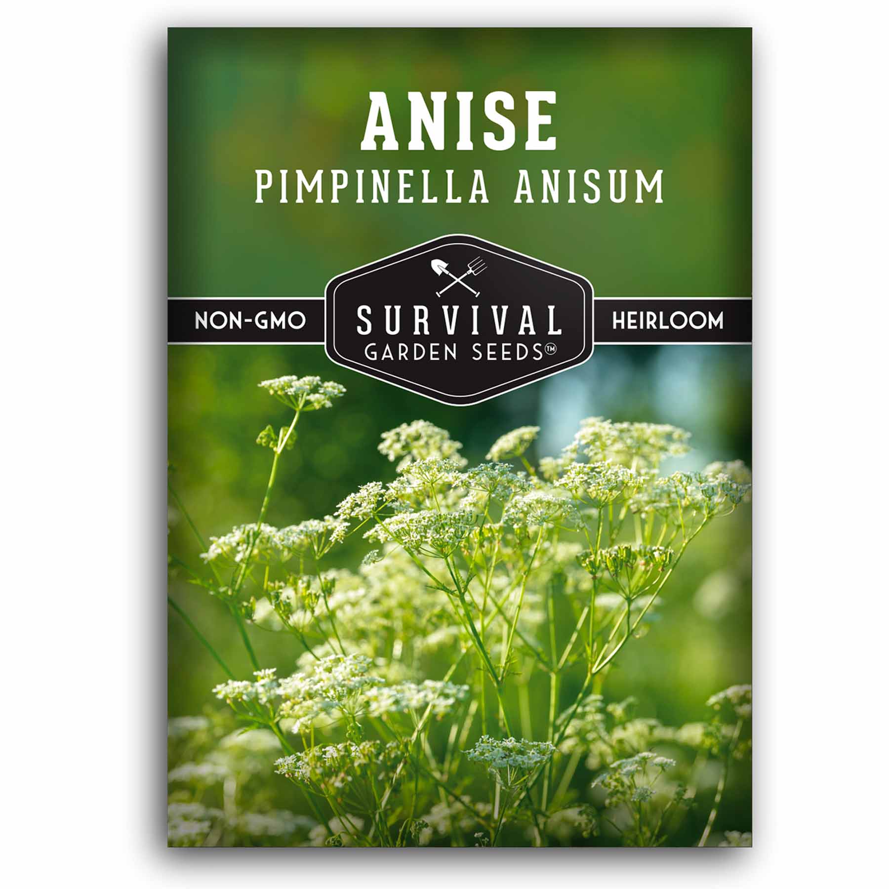 Organic Anise Seed - Premium Medicinal & Culinary Herb for Baking, Tea & Digestive Health | USDA Certified | Non-GMO | 4oz Resealable Bag