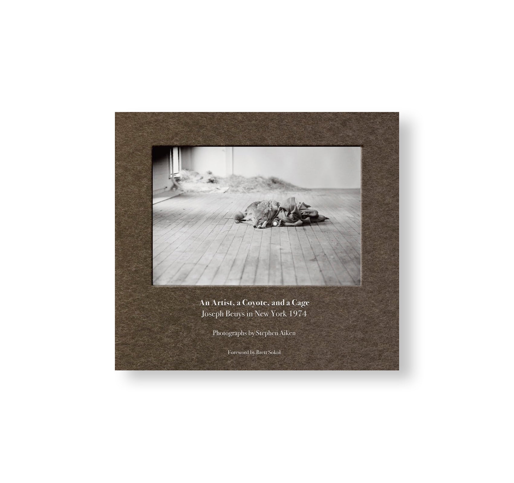 Joseph Beuys in New York 1974: An Artist, a Coyote, and a Cage by Stephen Aiken - Performance Art Book, Contemporary Art History - Perfect for Art Students and Museum Enthusiasts