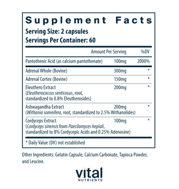 Vital Adrenal Support Supplement - 120 Capsules for Stress Relief & Energy Boost - Supports Adrenal Gland Health - Perfect for Busy Professionals & Students