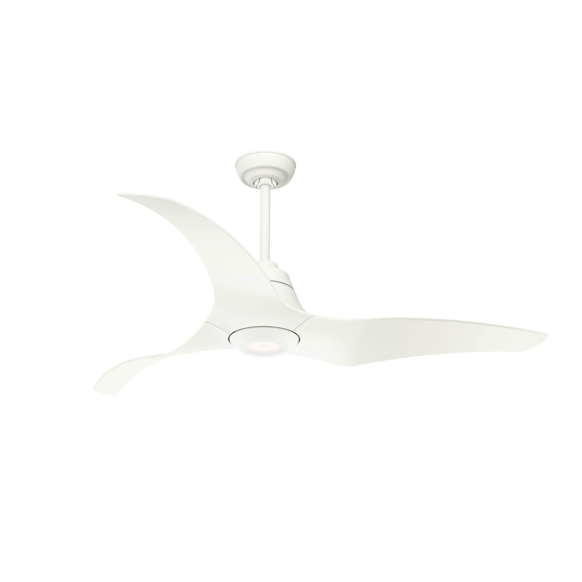 Casablanca Stingray 52