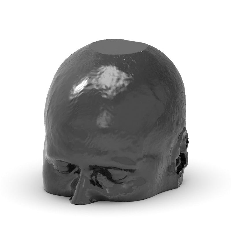 CTA Head Phantom for CT Scan & X-Ray Training - High-Quality Medical Imaging Education Tool for Radiology Students & Technicians