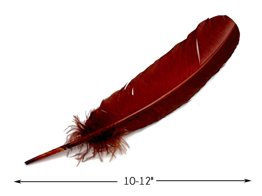 1 Lb. Wine Brown Turkey Tom Rounds Secondary Wing Quill Feathers Bulk - Halloween Craft Supplies, DIY Costume Accessories, Dreamcatcher Making | Moonlight Feather