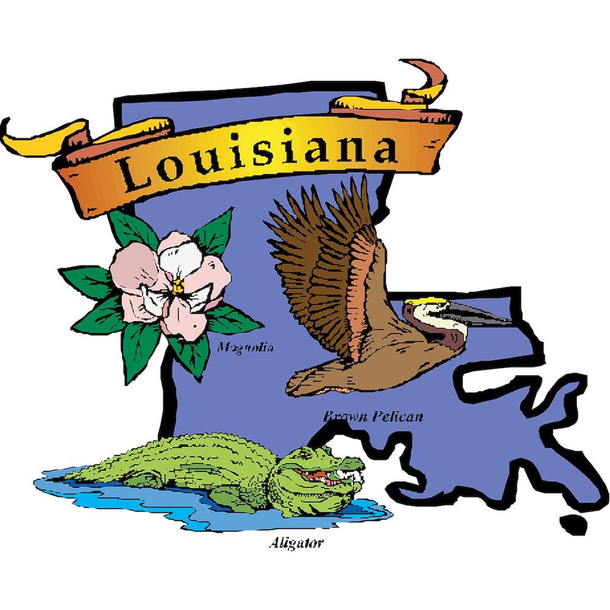 Louisiana Map Ceramic Coffee Mug 11 oz (325 ml) - Perfect for Home, Office & Travel - Gift for Coffee Lovers & State Pride