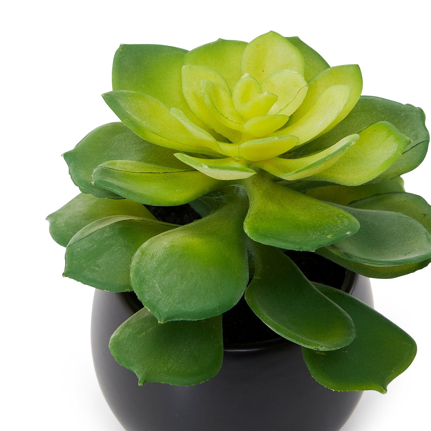 Black Plastic Succulent Pots with Drainage Holes - Small Cactus Planters for Indoor Plants, Home Decor, Office Desk & Garden Arrangements