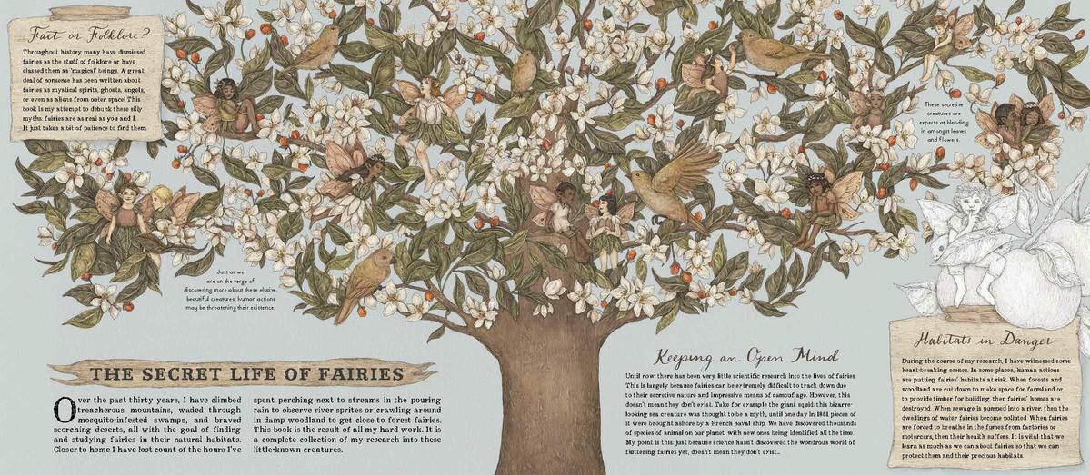 Emily Hawkins: A Natural History of Fairies - Illustrated by Jessica Roux | Fantasy Book for Adults & Teens | Perfect for Fairy Lovers, Book Collectors & Gift Giving