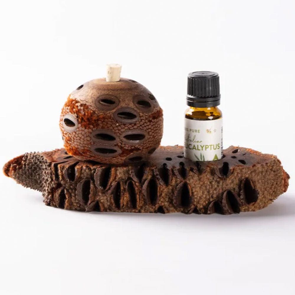 Banksia Aroma Diffuser & Essential Oil Set - Natural Wooden Essential Oil Burner for Home, Yoga, Spa, and Aromatherapy Relaxation