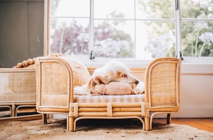 Premium Ralf Rattan Dog Bed - Waterproof & Chew-Resistant - 3 Sizes (Small, Medium, Large) - Cozy Pet Bed for Indoor & Outdoor Use - Perfect for Living Rooms, Patios, and Kennels