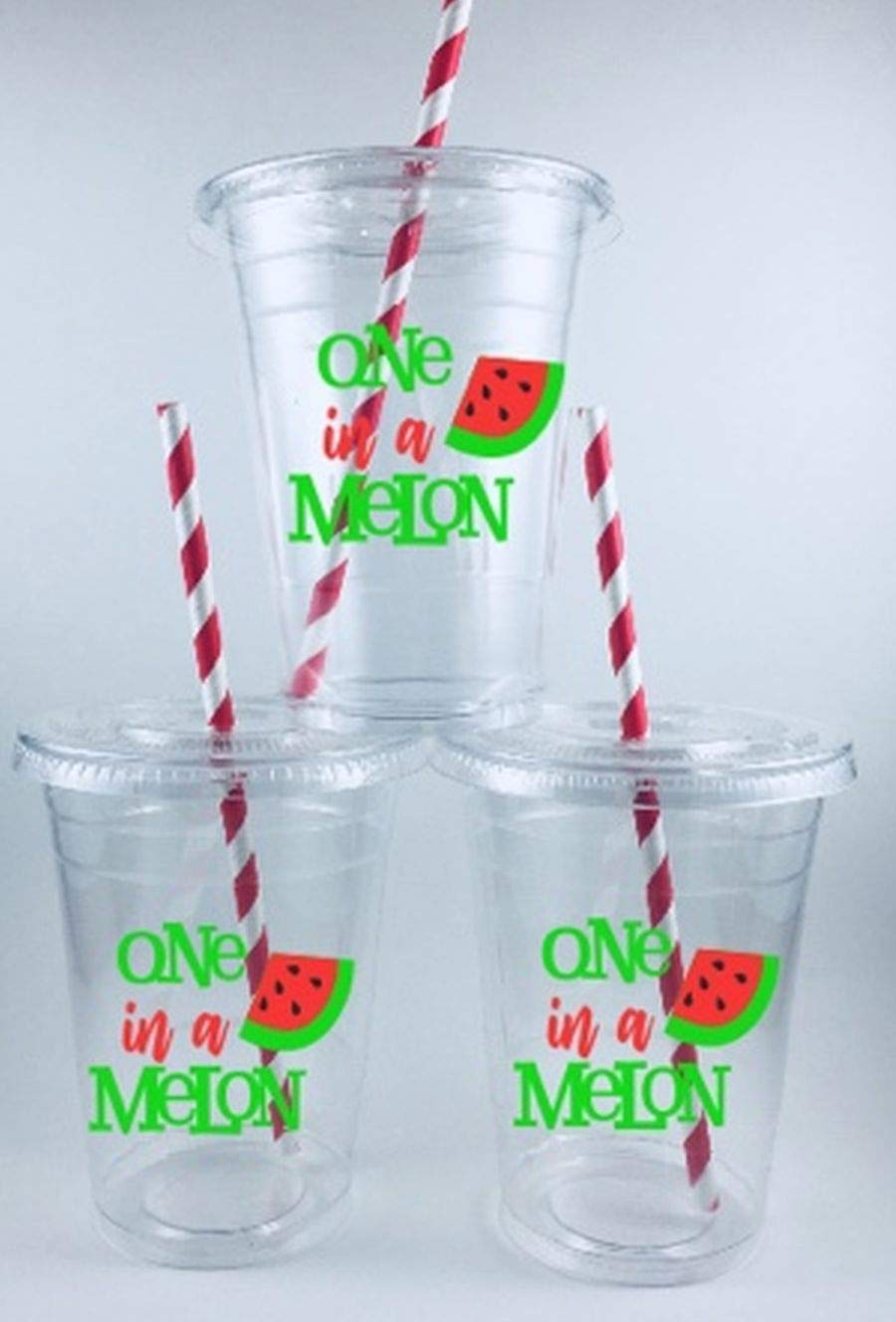 One in a Melon Party Cups Set - 12 Disposable Cups with Lids & Straws for Summer BBQs, Pool Parties, and Birthday Celebrations