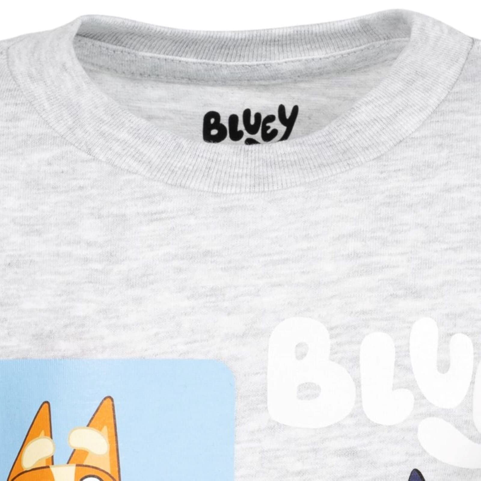 Bluey 2 Pack Kids T-Shirts for Toddlers & Little Boys - Soft Cotton Cartoon Character Tees for Playtime, School & Family Outings