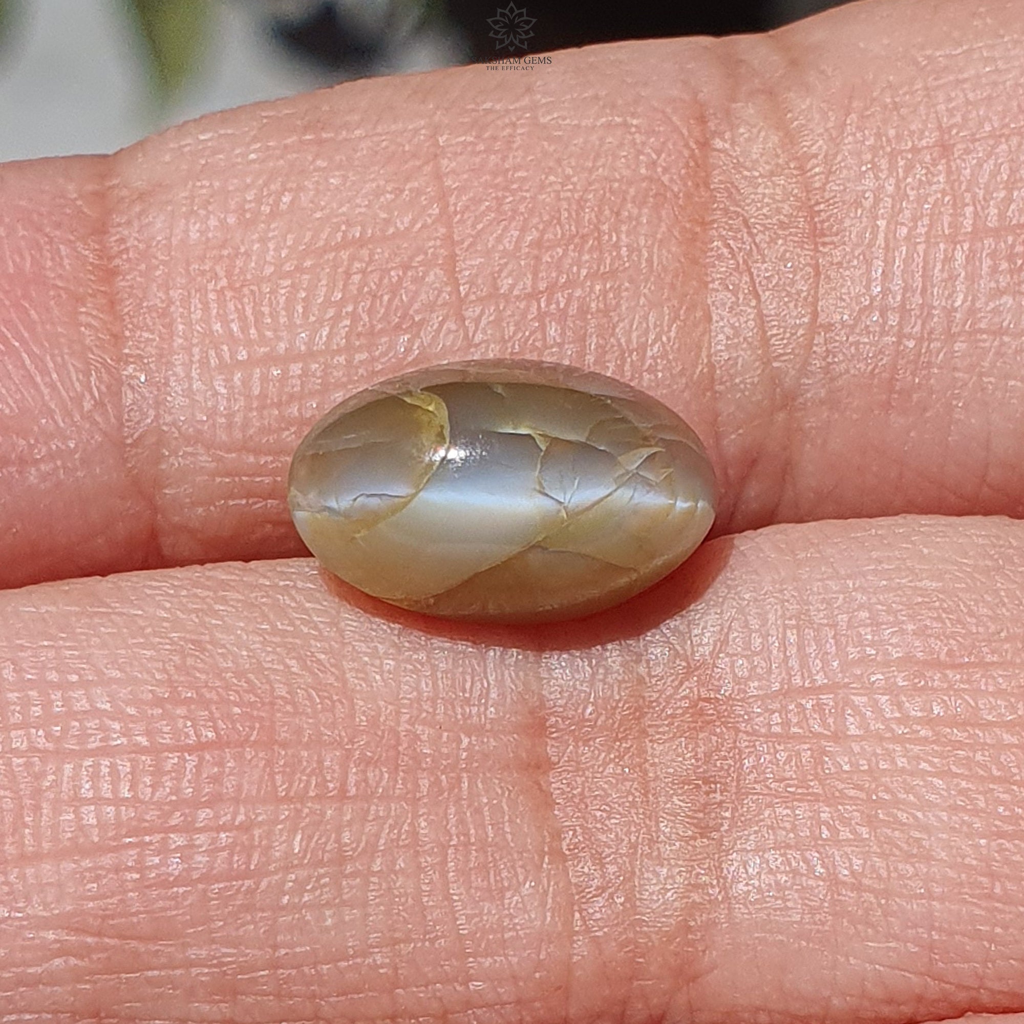 Natural Untreated Chrysoberyl Cat's Eye Gemstone Cabochon - Oval Shape for Jewelry Making (Rings, Pendants & Earrings) - Unheated Healing Stone for Energy Balance & Protection