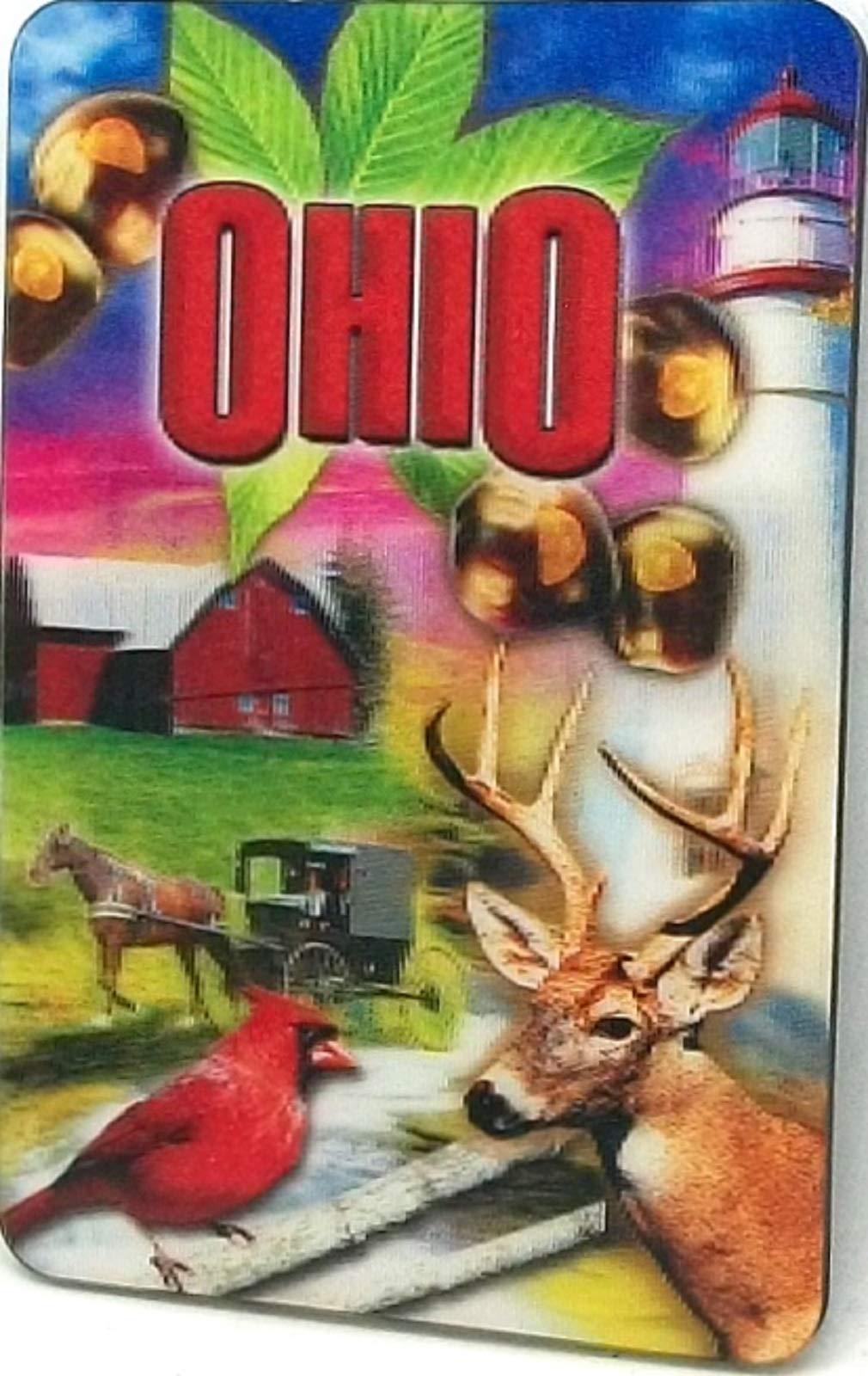 Ohio The Buckeye State 3D Refrigerator Magnet - Unique Souvenir & Gift for Travel Lovers, Perfect for Fridge, Office, or Home Decor