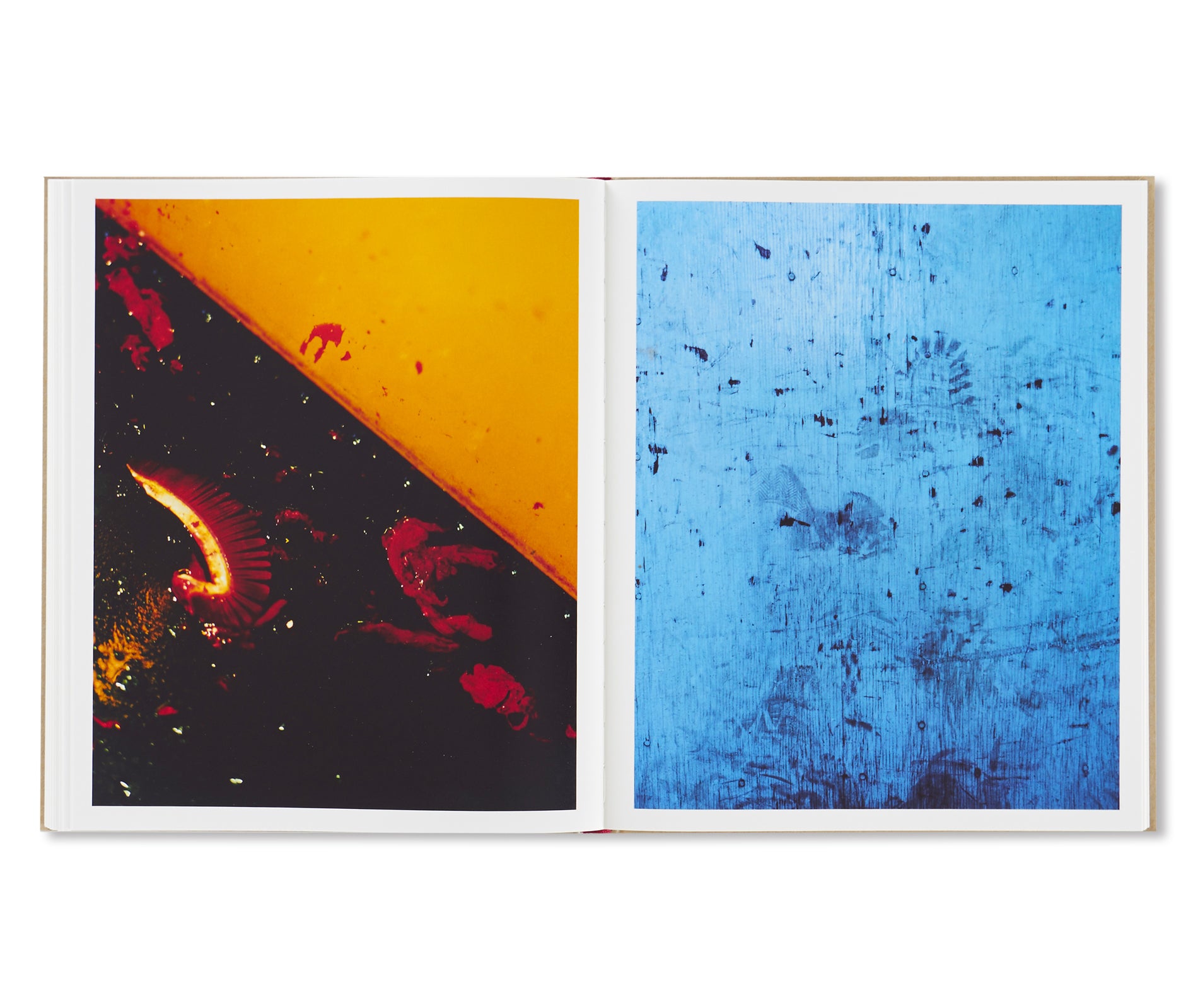 Harley Weir Paintings - Contemporary Art Prints for Home & Office Decor | Wall Art for Living Room, Bedroom & Office Spaces