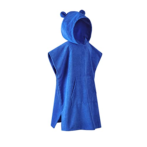 Bear Blue