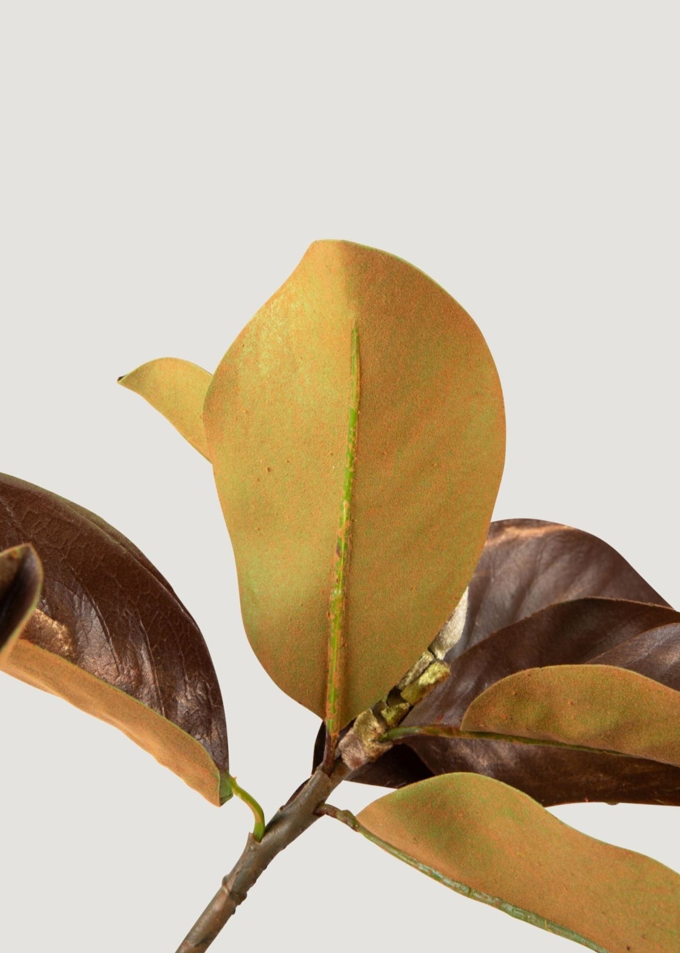 Artificial Magnolia Leaf Branch - 38.5
