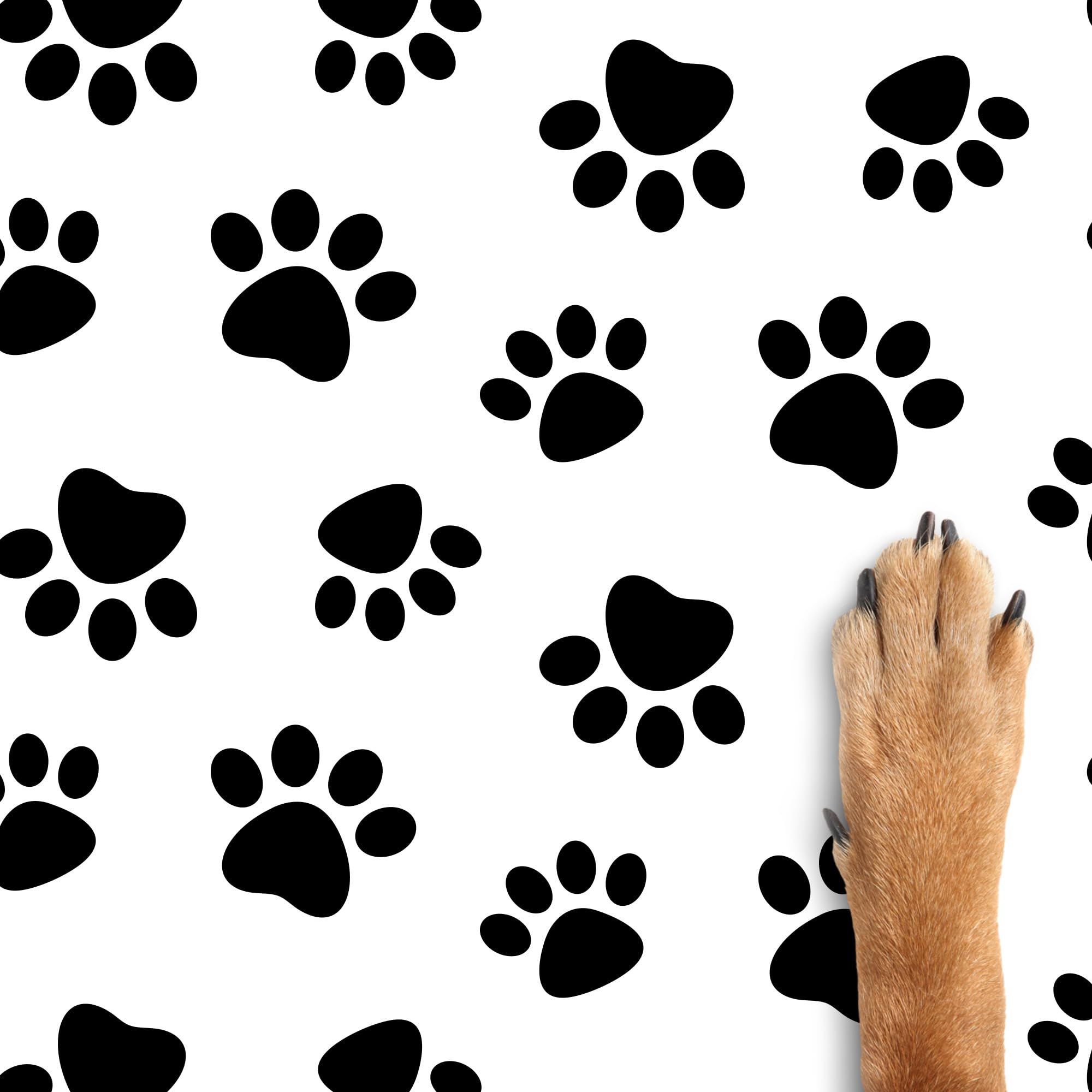 Hi Sasara 30 Sheets Large 20 x 28 Inch Black and White Dog Paw Print Tissue Paper Bulk Pack - Perfect for Gift Wrapping, Birthday Party Favors, and Holiday Present Bags