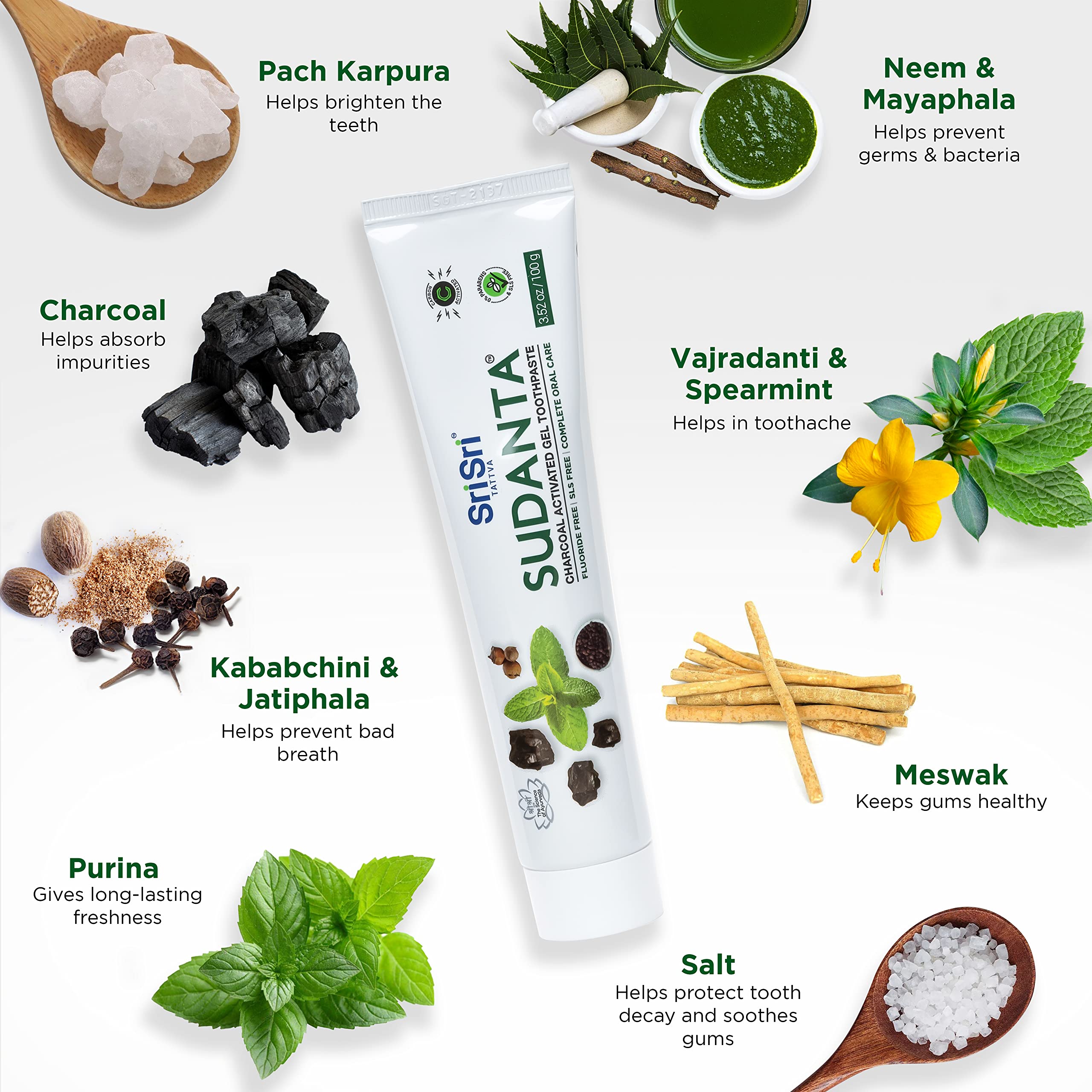 Sri Sri TATTVA Sudanta Activated Charcoal Toothpaste Gel - Natural Fluoride-Free Teeth Whitening, Gum Care & Fresh Breath | Sensitivity-Free Oral Care (100g) | Perfect for Daily Use, Travel & Eco-Friendly Lifestyle