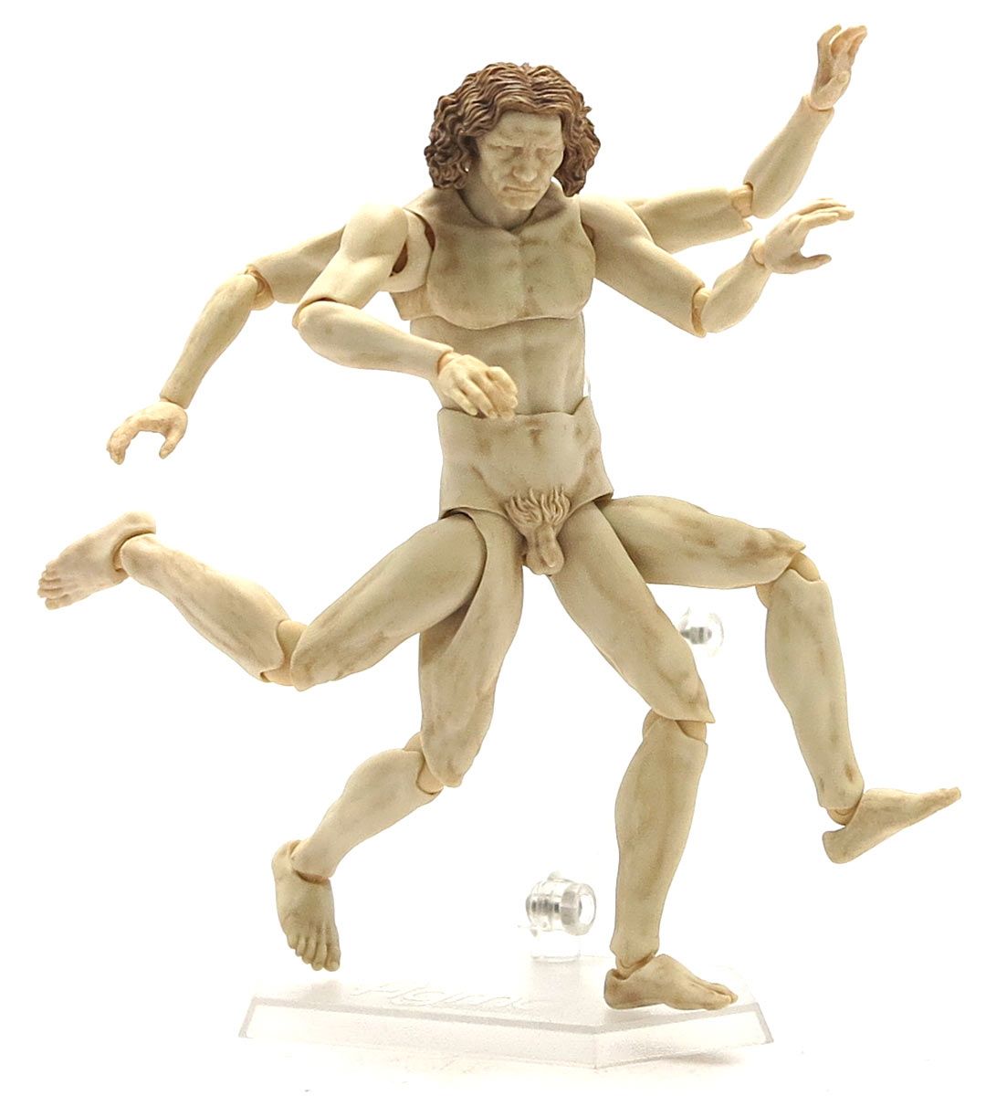 Figma Vitruvian Man (Table Museum) - Leonardo da Vinci Inspired Collectible Figurine for Home Decor, Office Display, and Art Enthusiasts