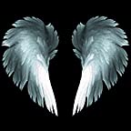 Angel Wing