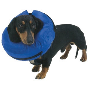 Buster Inflatable Elizabethan Collar for Dogs - Nylon Pet Cone Alternative, X-Large Size | Comfortable Recovery Collar for Post-Surgery, Wound Protection & Vet Visits