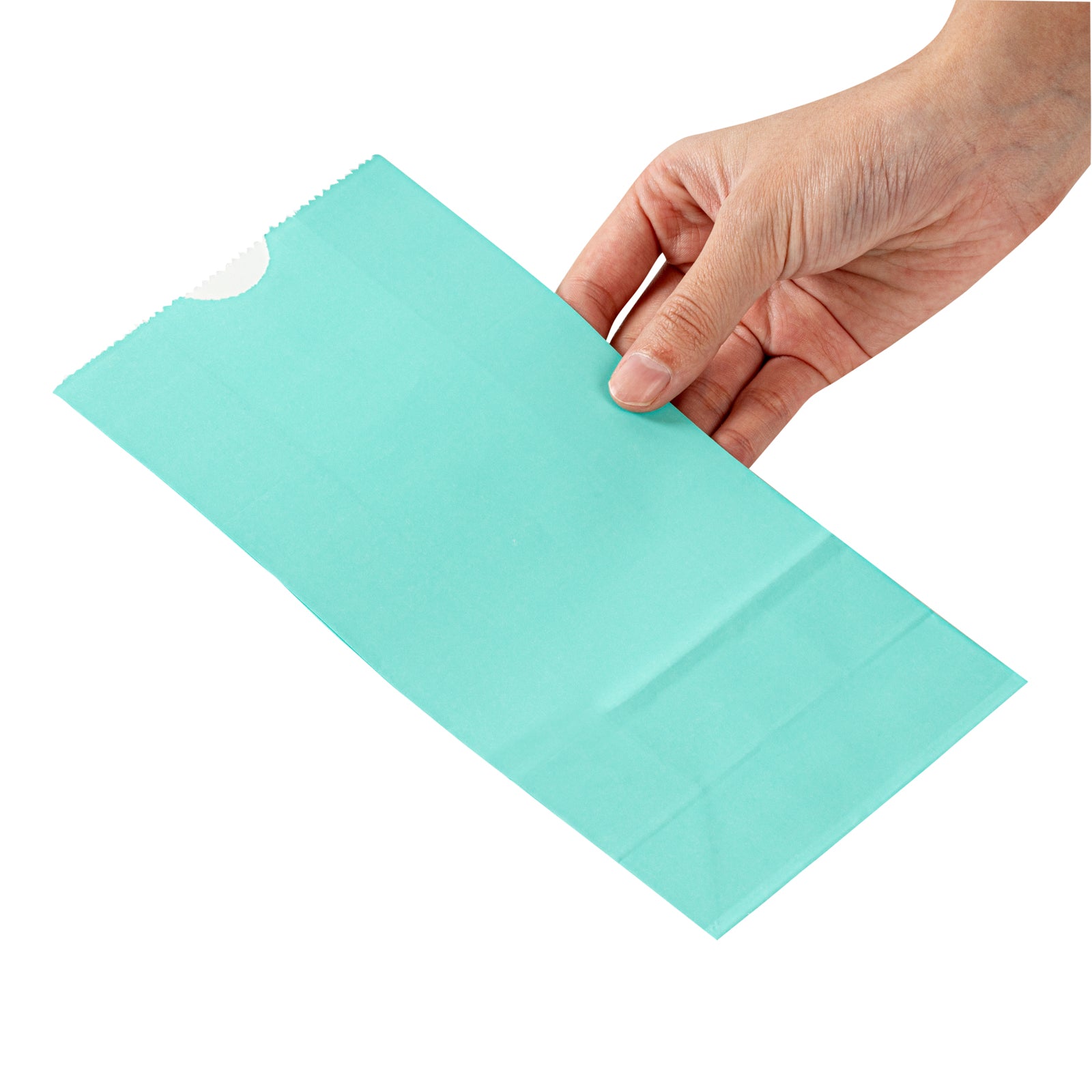 Premium Turquoise Paper Bags - 2 lb Capacity, 4.25