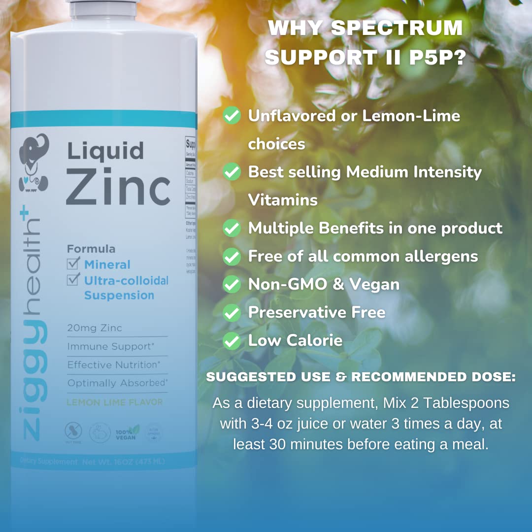 Liquid Zinc Sulfate Supplement for Immune Support - Vegan, Gluten Free Zinc Drops for Kids & Adults - Skin Care & Detox Booster - 16 fl oz | Daily Wellness & Immune System Defense