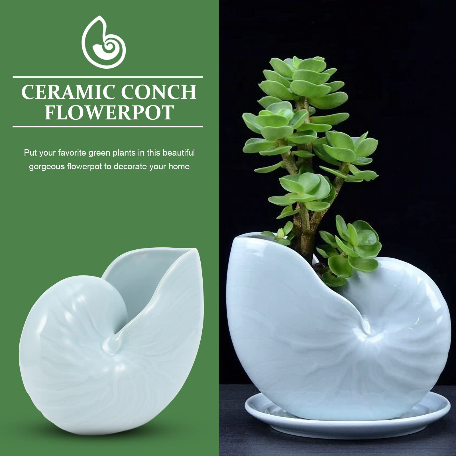 BESPORTBLE 1pc Ceramic Conch Planter Pot - Elegant Outdoor Flower Pot for Gardening, Hydroponics, Bonsai & Home Decor - Perfect for Patio, Balcony and Indoor Plants