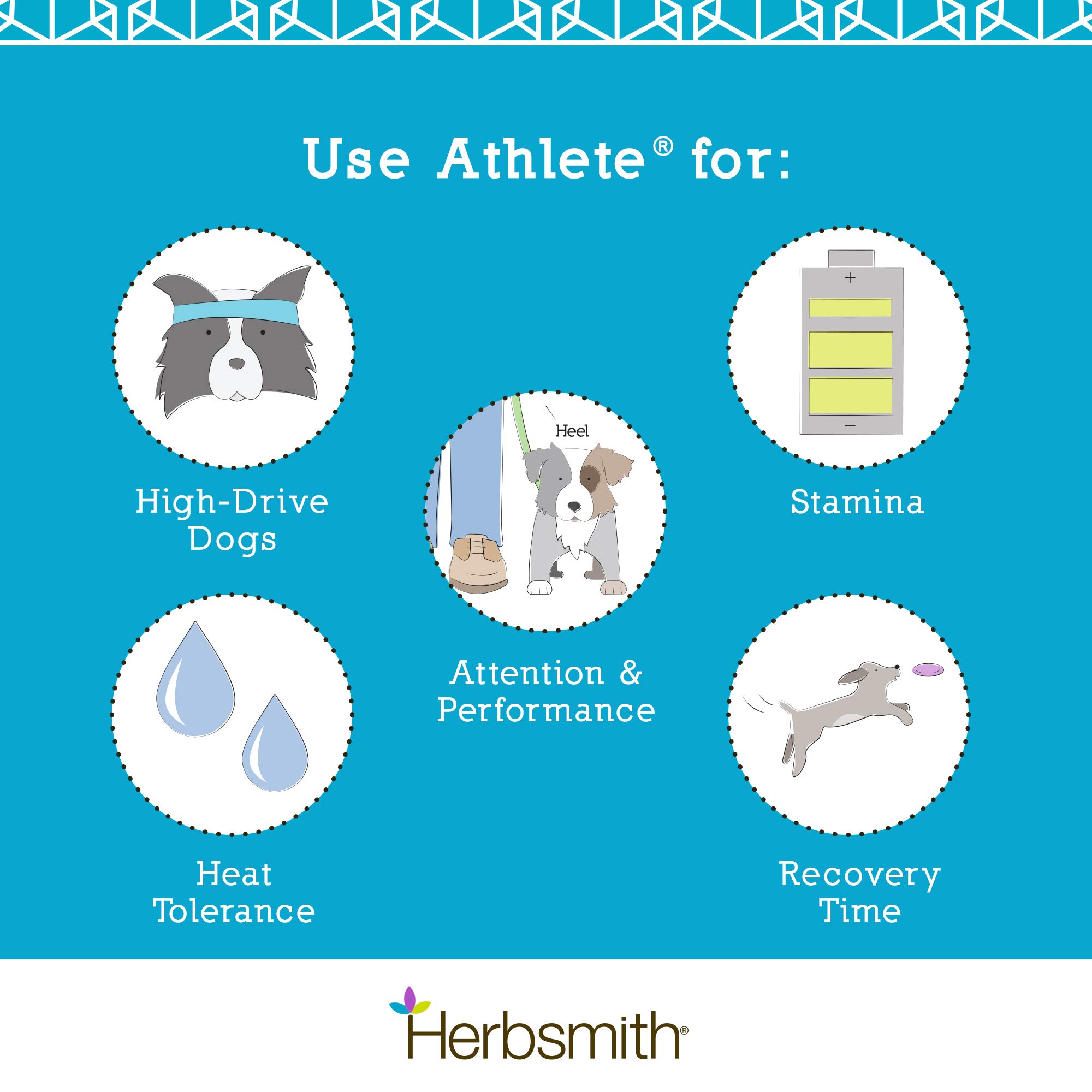 Herbsmith Athlete - Premium Canine Endurance Supplement Powder for Working Dogs & Agility Training - 500g Muscle Recovery Formula for Active Dogs - Ideal for Competitions, Hiking & Outdoor Adventures
