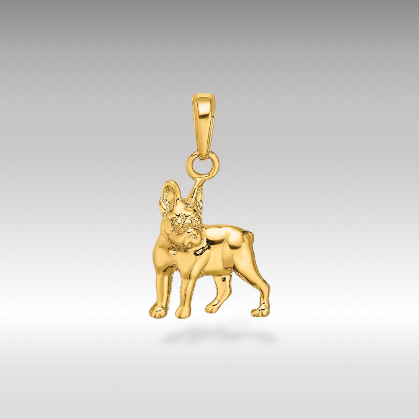 Gold Boston Terrier Dog Pendant Necklace - Cute Pet Memorial Jewelry Gift for Dog Lovers - Perfect for Pet Loss Remembrance, Birthday & Anniversary Gifts