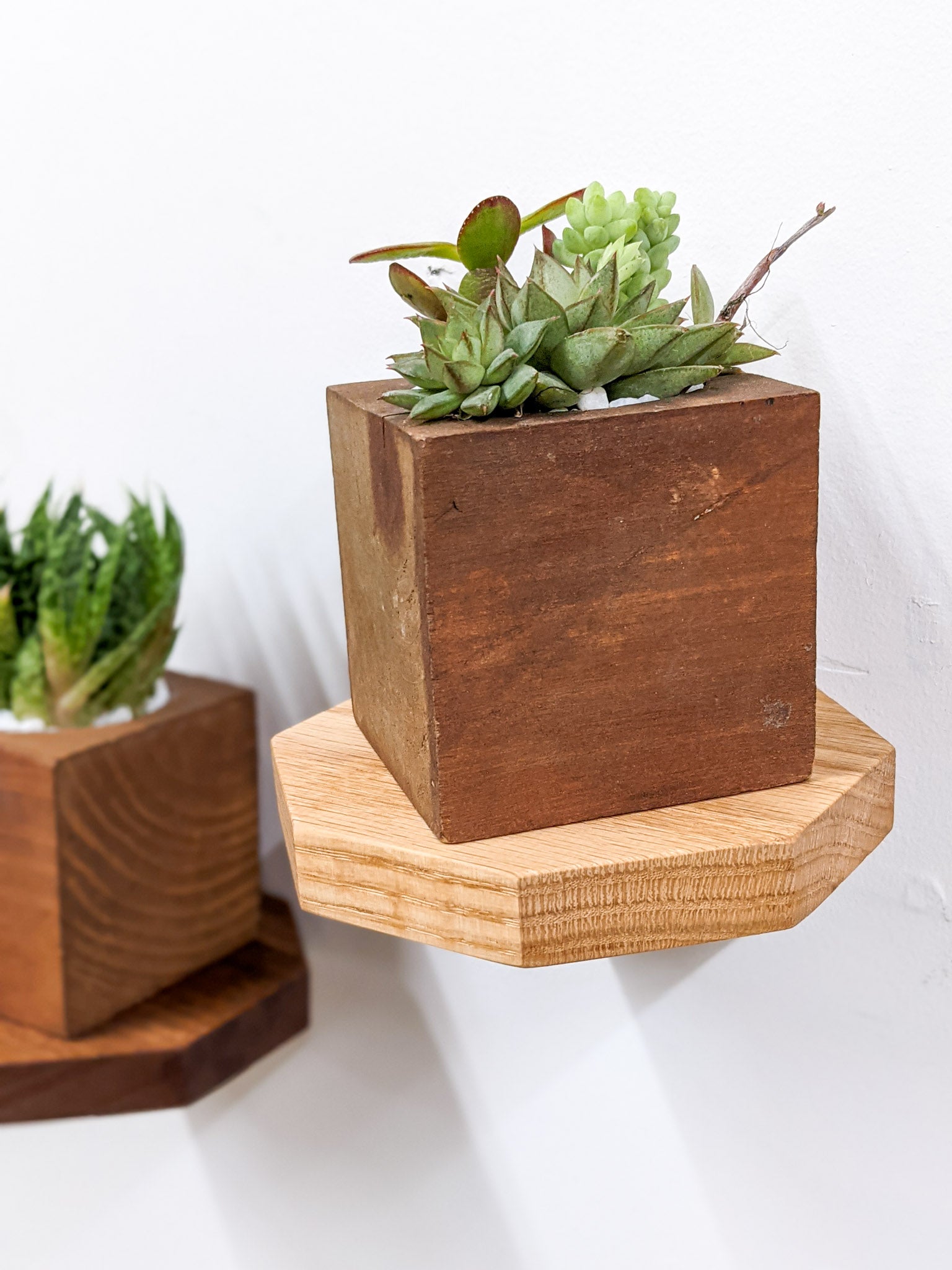 Small Floating Shelf Set - Wall Mounted Shelves for Bathroom, Kitchen & Living Room - Minimalist Home Decor & Storage Solution