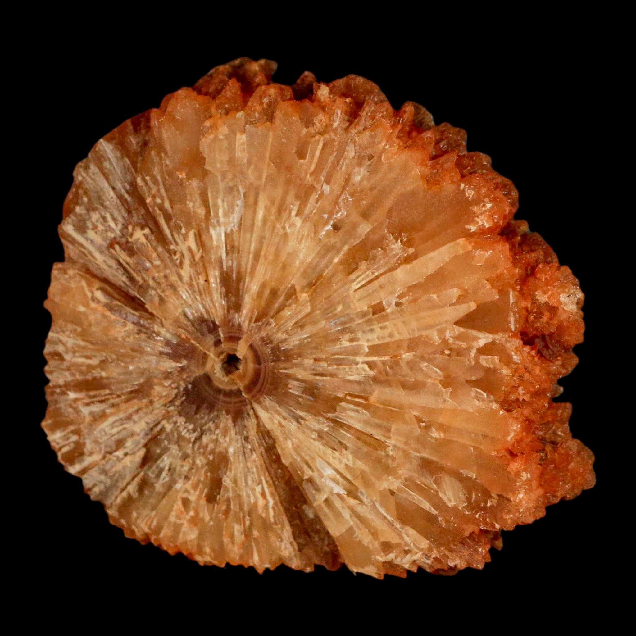 Natural Cut Rough Cave Honey Calcite Crystal Mineral Specimen from Morocco - Healing Stone for Meditation, Reiki & Home Decor