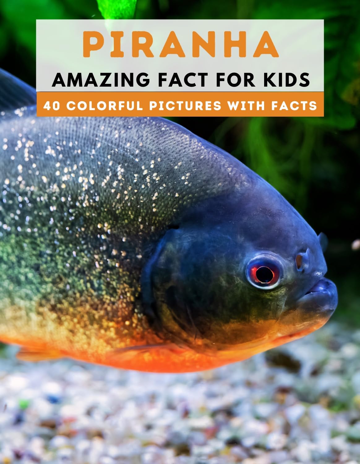 Piranha: Fun Facts for Kids - Educational Picture Book (This Wonderful Planet Series #140) - Perfect for Homeschooling & Animal Lovers