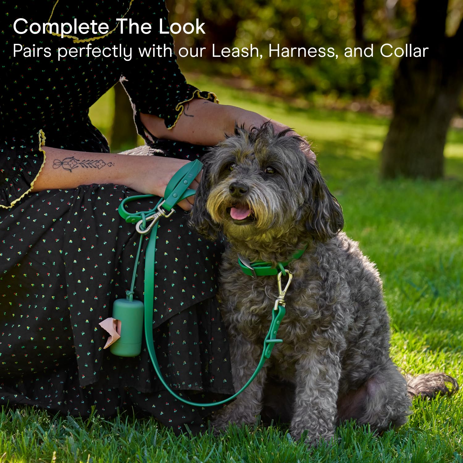 Wild One Dog Poop Bag Holder & Dispenser - Leak Proof with Leash Attachment & Easy Twist Top for Refills (Includes 1 Box Bags) - Black | Perfect for Walks, Hikes & Outdoor Adventures with Your Dog