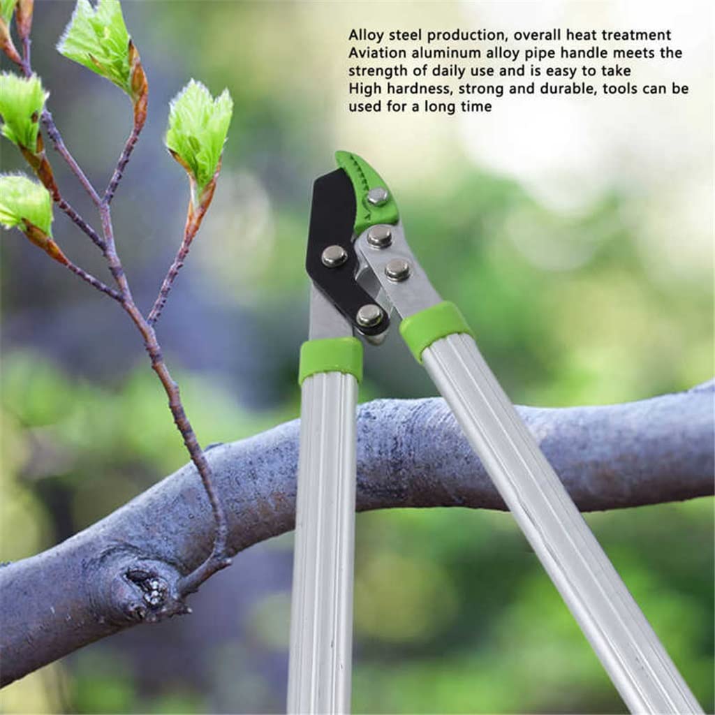 Durable Gardening Scissors - Professional Branch Pruning Shears for Flowers, Plants & Garden Trimming | Perfect for Home Gardening, Landscaping & Outdoor Use