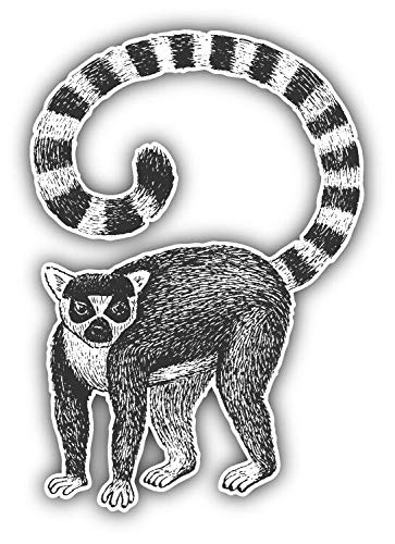 Lemur Sketch Vinyl Decal Sticker - Waterproof Car & Bumper Sticker 5 Inch - Perfect for Cars, Laptops, Windows & DIY Projects