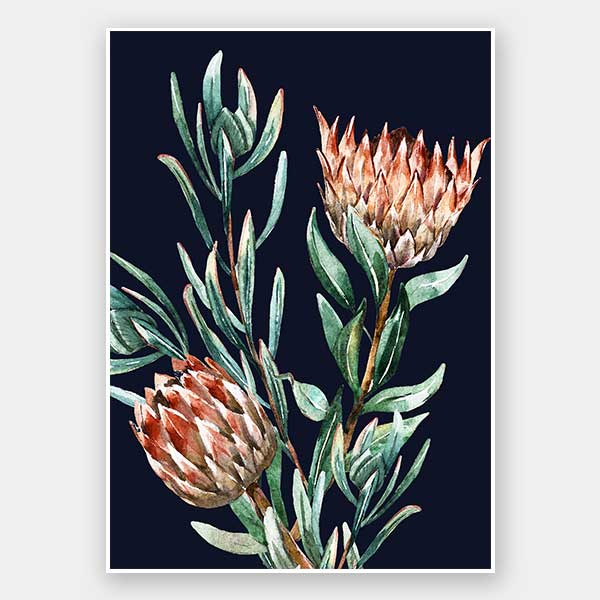 Dark Proteas II Unframed Art Print - Botanical Wall Decor for Living Room, Bedroom & Office - Perfect for Home & Office Decor