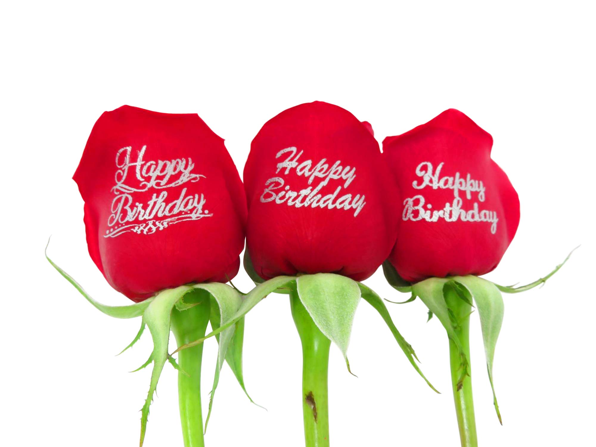 Beautiful Red Roses Bouquet with Happy Birthday Message - Fresh Cut Flowers - 6 Red Roses in Glass Vase - Next Day Delivery - Perfect for Birthdays, Anniversaries & Romantic Gifts