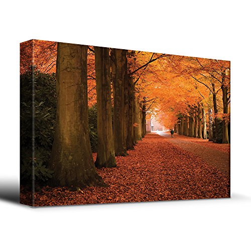 01. Autumn Path