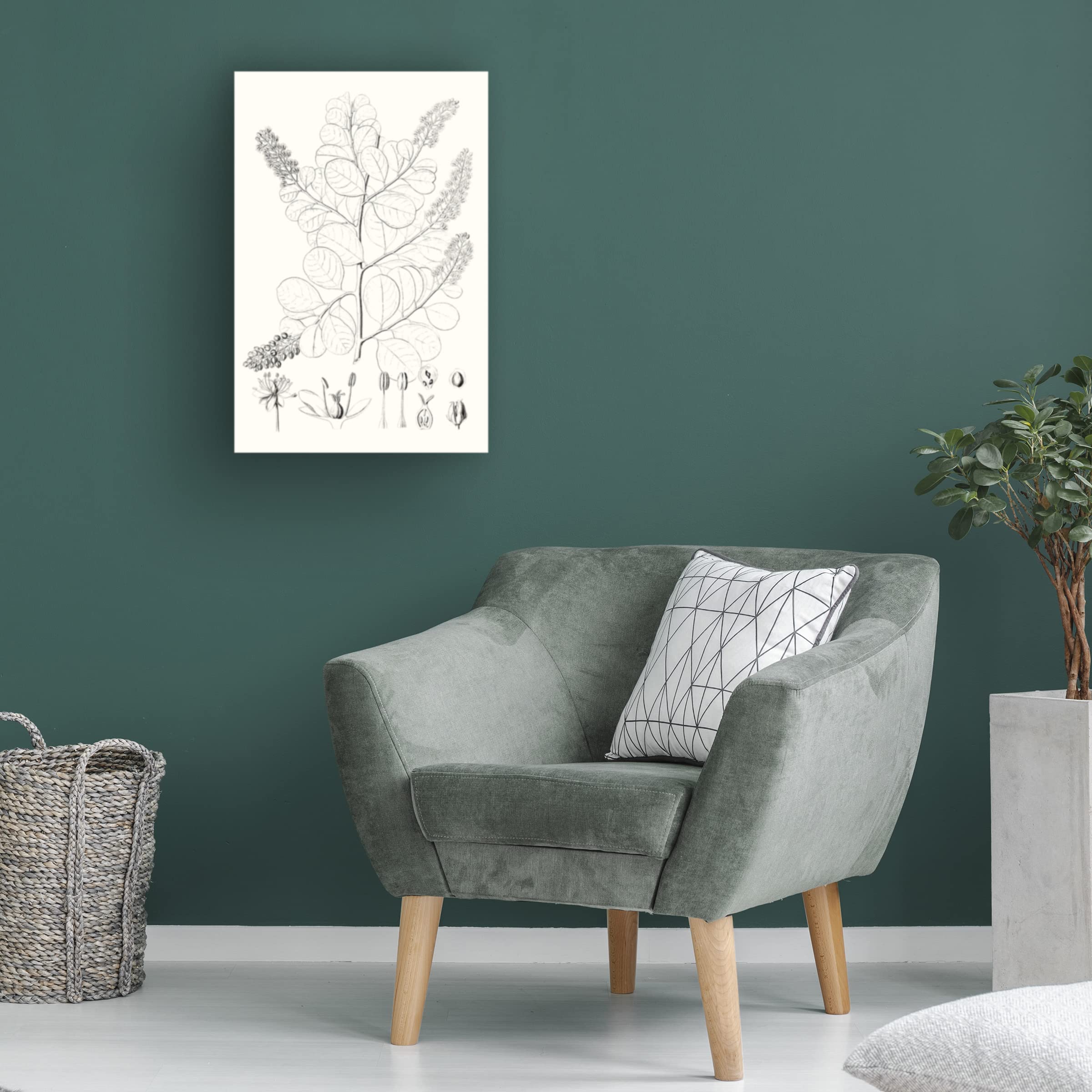 Trademark Fine Art 'Illustrative Leaves IV' Canvas Wall Art Print by Vision Studio - Nature Inspired Home Decor for Living Room, Bedroom & Office