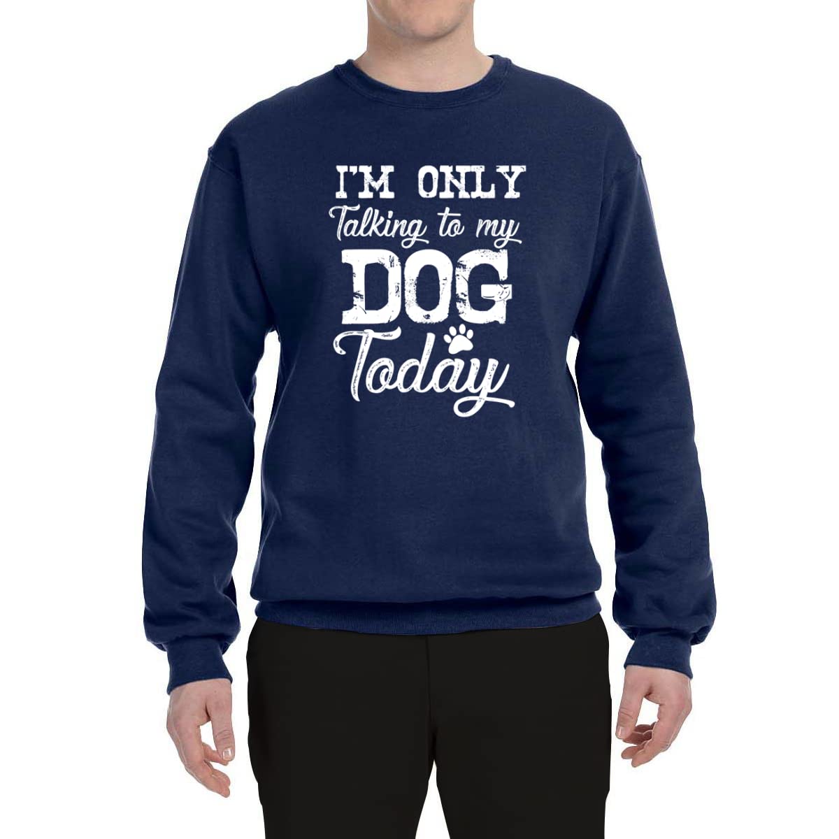 Wild Bobby 'I'm Only Talking to My Dog Today' Dog Lover Graphic Sweatshirt - Unisex Crewneck Pullover for Pet Owners, Dog Walking & Casual Wear