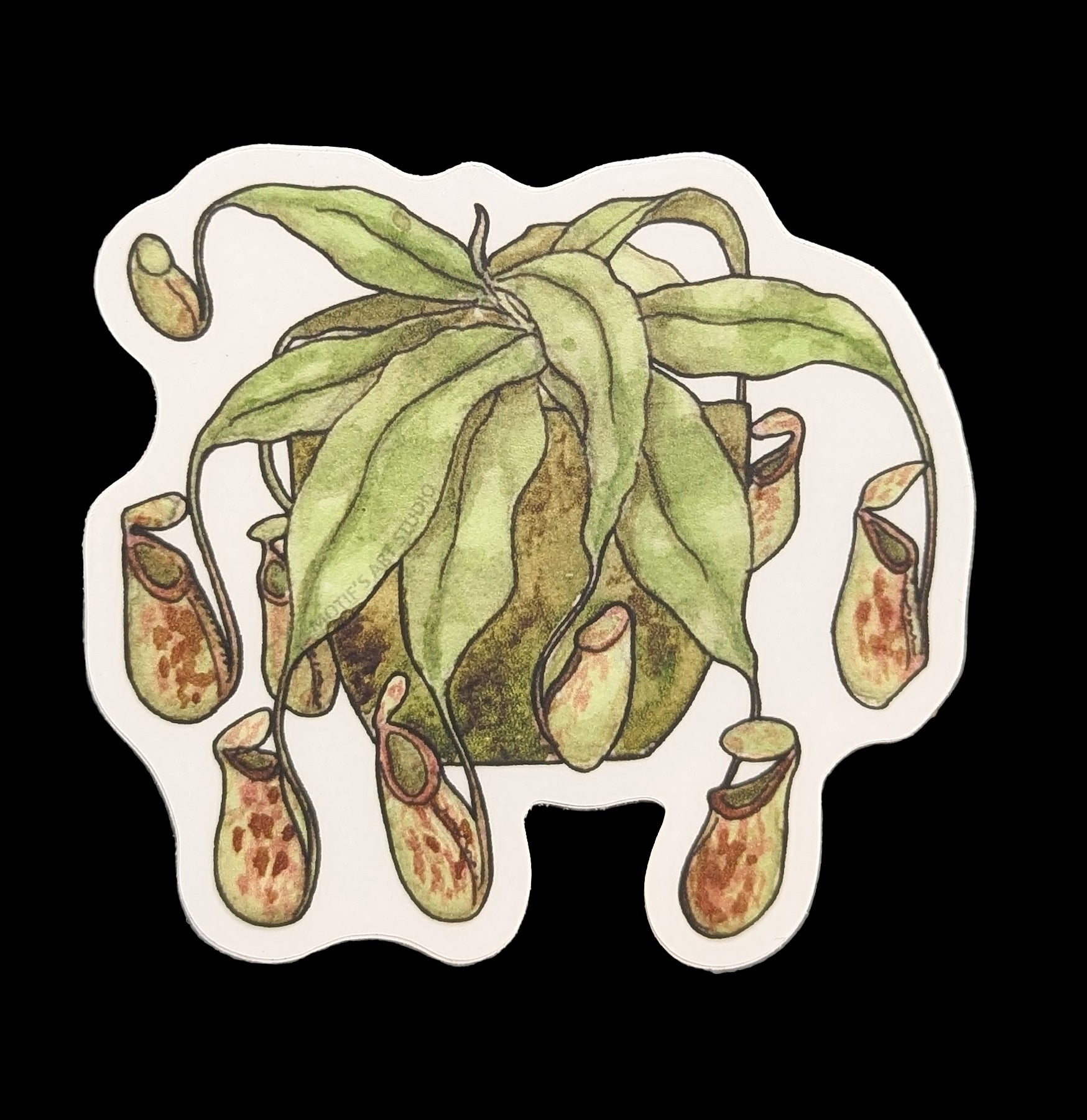 Pitcher Plant Sticker - Unique Carnivorous Plant Decal for Laptops, Water Bottles & DIY Crafts - Perfect for Nature Lovers & Botanical Enthusiasts